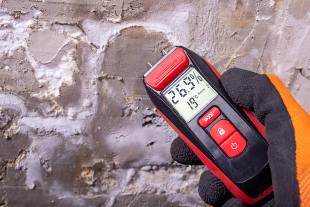 Best Mold Testing and Inspection Services in Valley Stream, NY